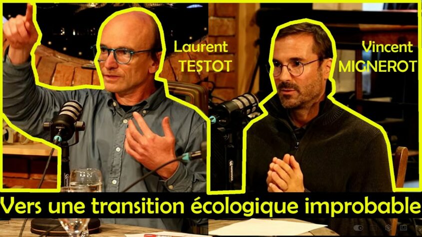 mémérou testot mignerot transition