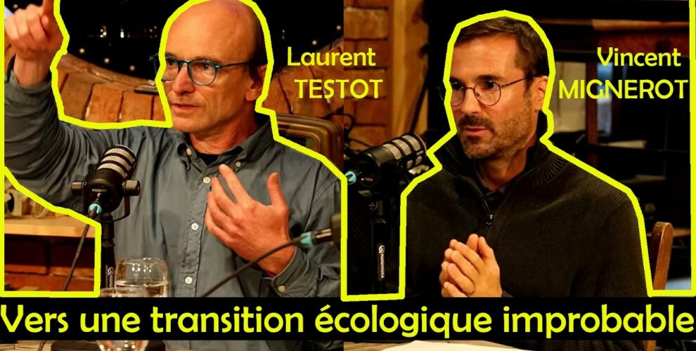 mémérou testot mignerot transition